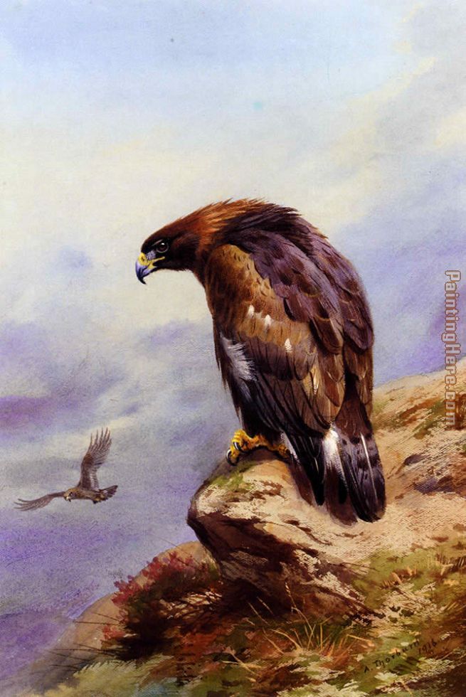 A Golden Eagle painting - Archibald Thorburn A Golden Eagle art painting